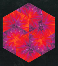 Triangle Frenzy® Amaryllis